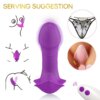 Armony Whistle Vibrador Introducible Control Remoto Violeta 6972377362354