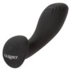 Calexotics Liquid Silicone Flex Probe 716770102720