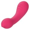 Calexotics Pixies Teaser Rosa 3 Calexotics Pixies Teaser Rosa 716770102997