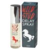 Cobeco Wild Stud Spray Retardante 8718546542640