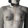 Coquette Chic Desire Fantasy Collar Con Pinzas Pezones Con Forro De Neopreno 8435565929909