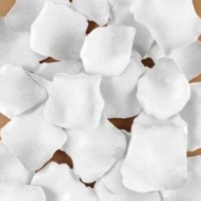 Diablo Picante 100 Pétalos Blanco 8412345045677