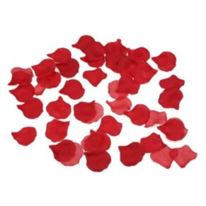 Diablo Picante 100 Pétalos Rojo 8412345037610