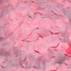 Diablo Picante 100 Pétalos Rosa 2 Diablo Picante 100 Pétalos Rosa 8412345037634
