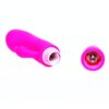 Pretty Love Flirtation Vibrador Con Rabbit Caesar 6959532313468