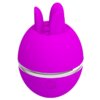 Pretty Love Vibrador De Silicona Redondo Gemini Ball Morado 6959532327847
