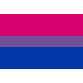 Pride Bandera 90 x 150 Bixesual 8412345048036