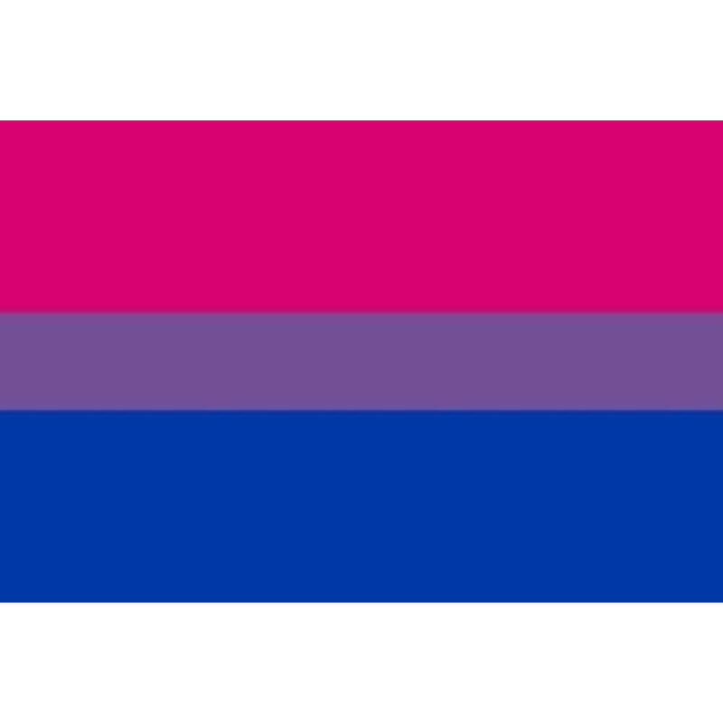 Pride Bandera 90 x 150 Bixesual 6 pride bandera 90 x 150 bixesual 8412345048036