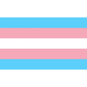 Pride Bandera 90 x 150 Transexual 8412345048043