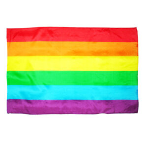 Pride Bandera Mediana Lgbt 8412345034640