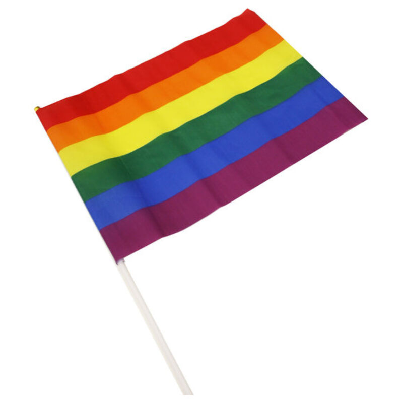 Pride Banderin Grande Bandera Lgbt 6 pride banderin grande bandera lgbt 8412345034562