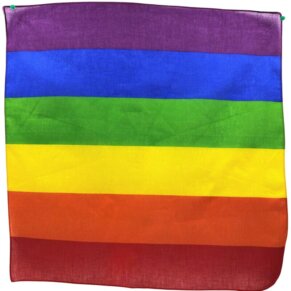 Pride Pañuelo Lgbt 50 x 50 8412345034572