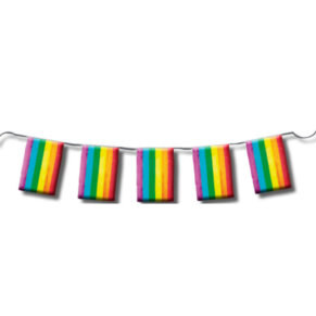 Pride Tira De Bandera Lgbt 10 Metros. 8412345064678